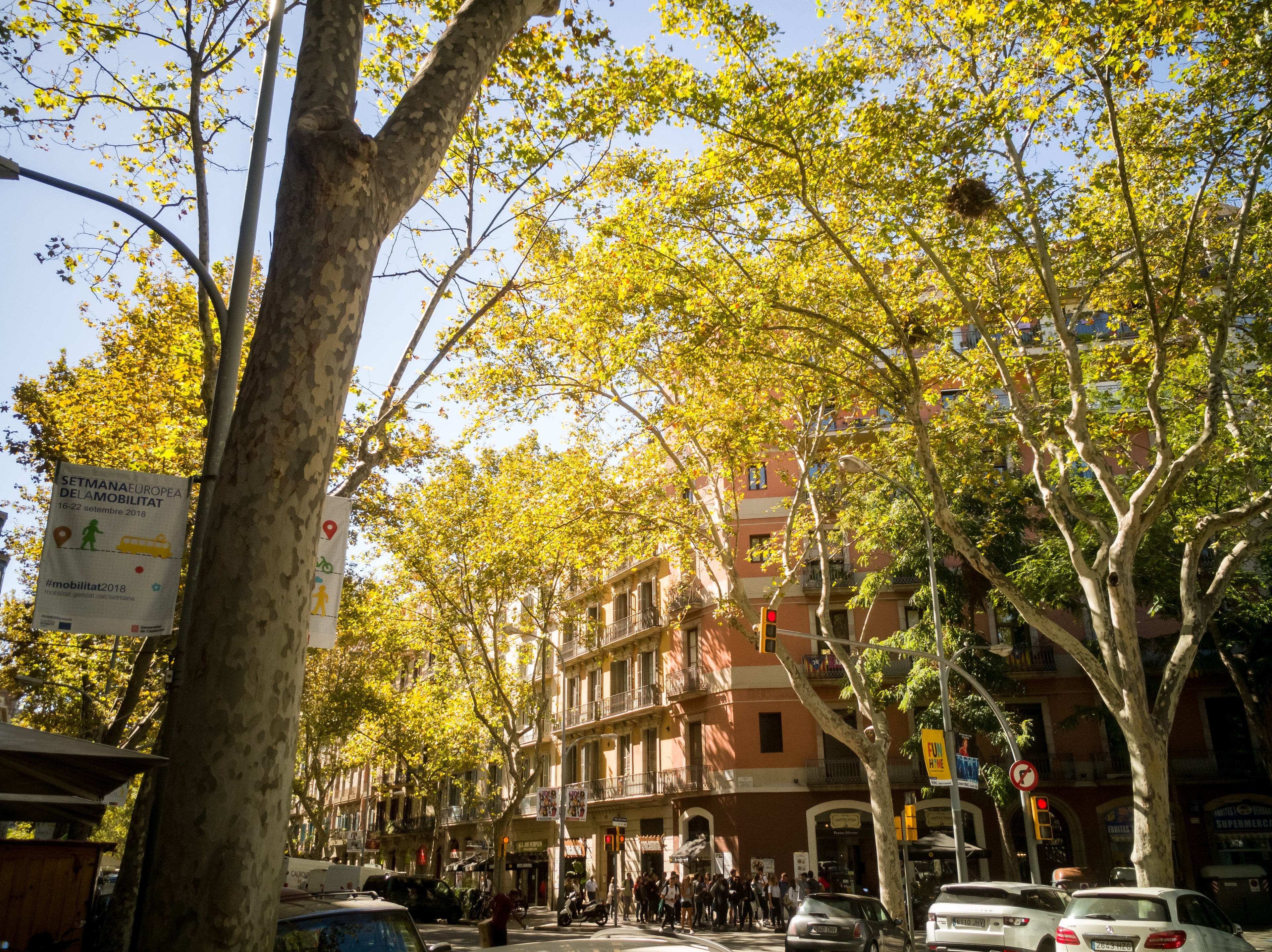 ¿Por qué Escogimos Barcelona?