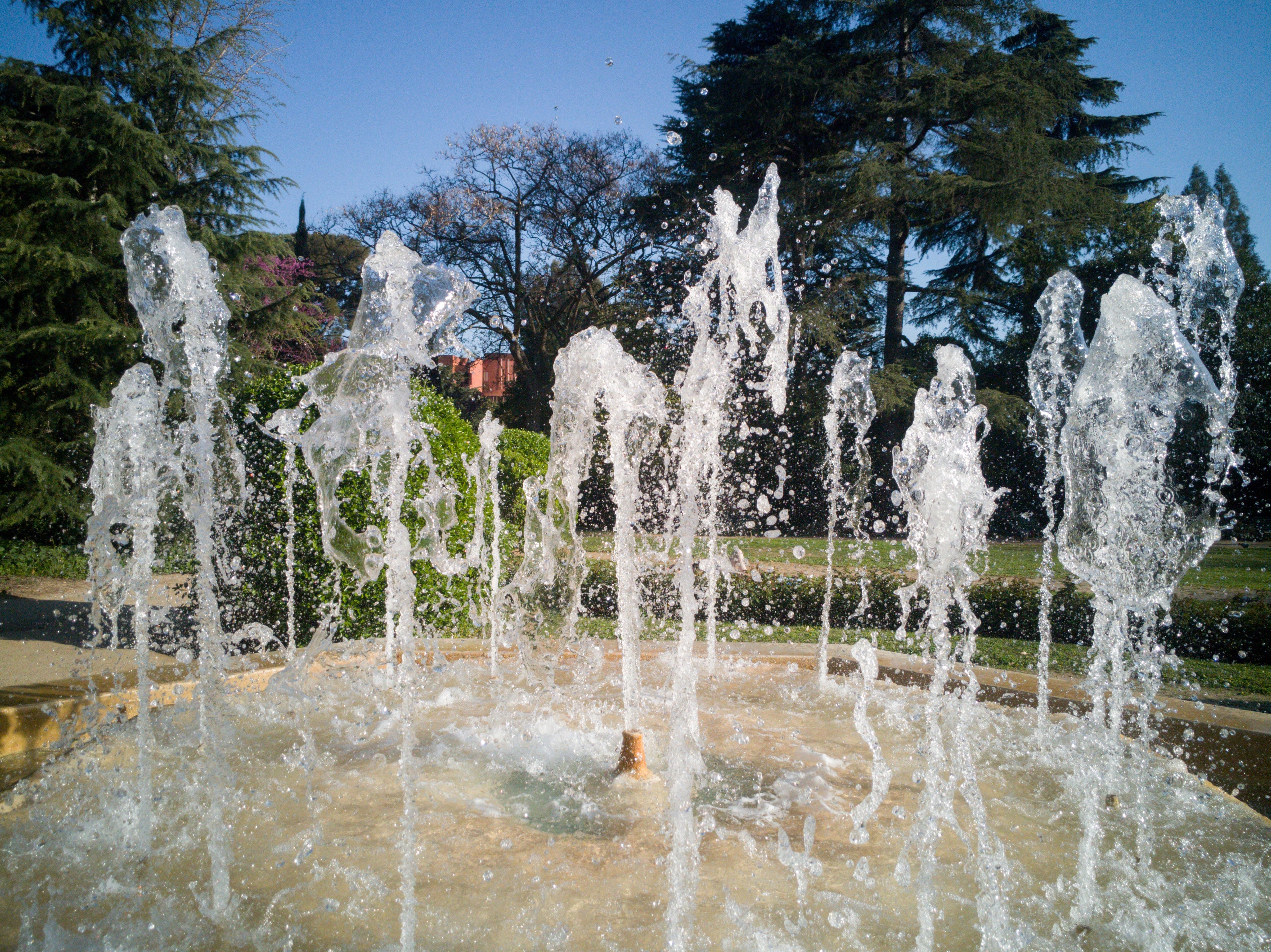 ¿Cómo gestionar tu herencia de manera rápida y sencilla?