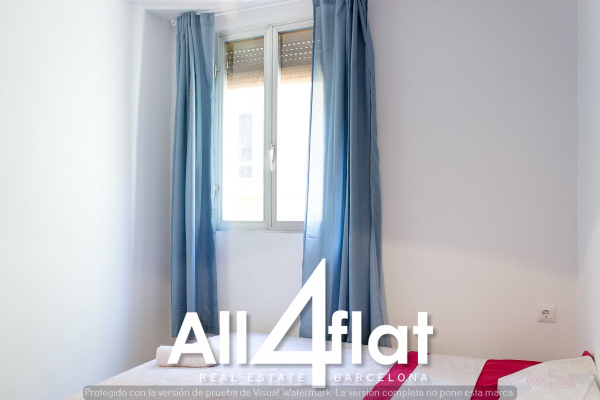 C/ Cera - Ref: 000387G