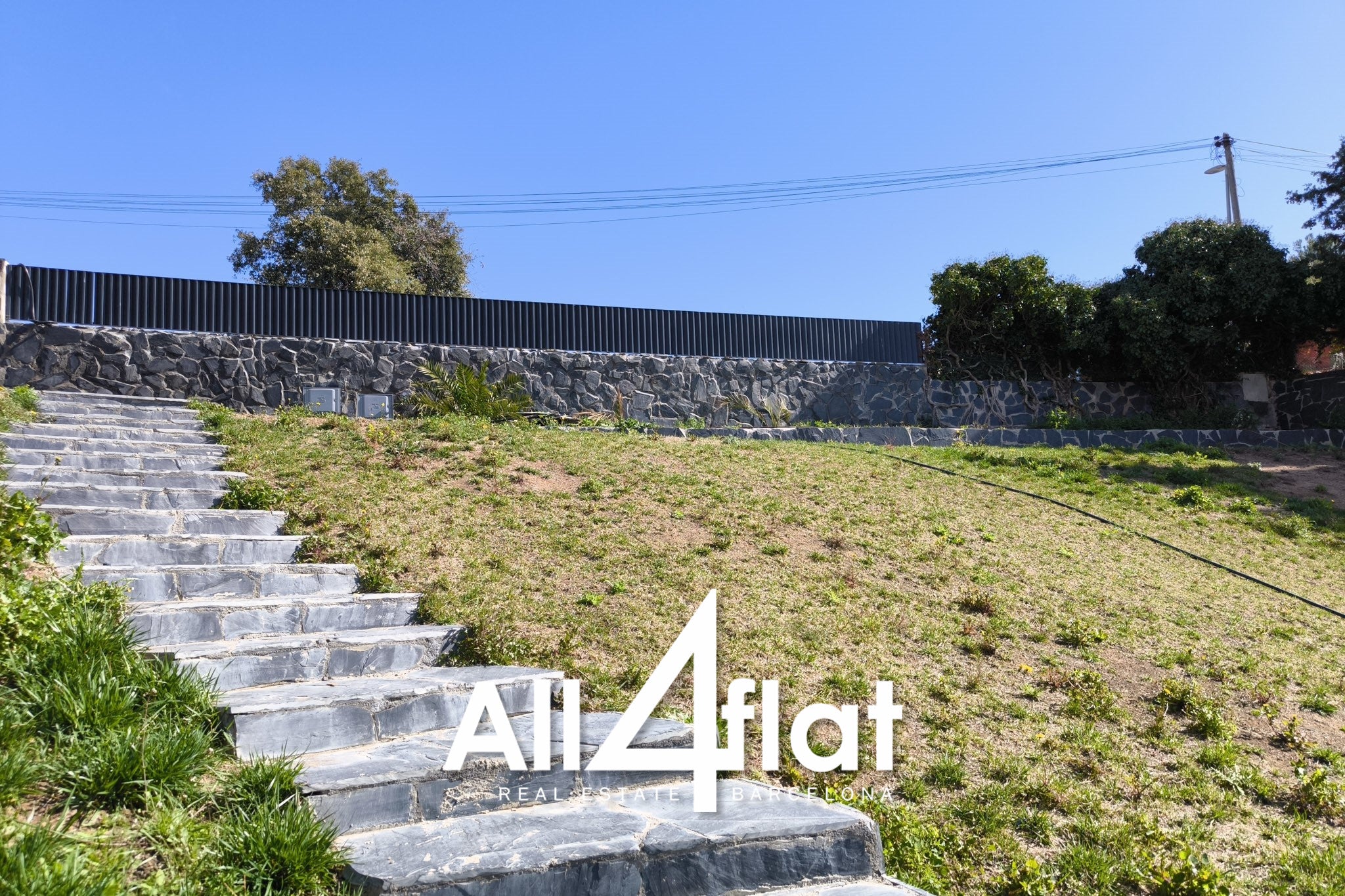 C/ Mimosa - Réf. : 003205 