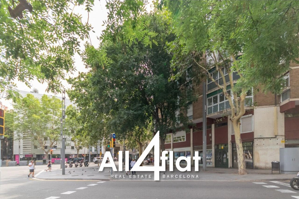 C/ Viladomat - Réf. : 001558E 