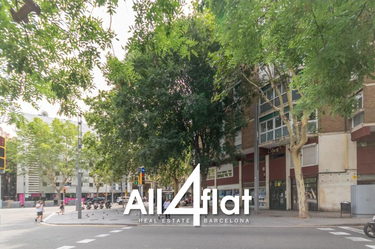 C/ Viladomat - Réf. : 001558E 