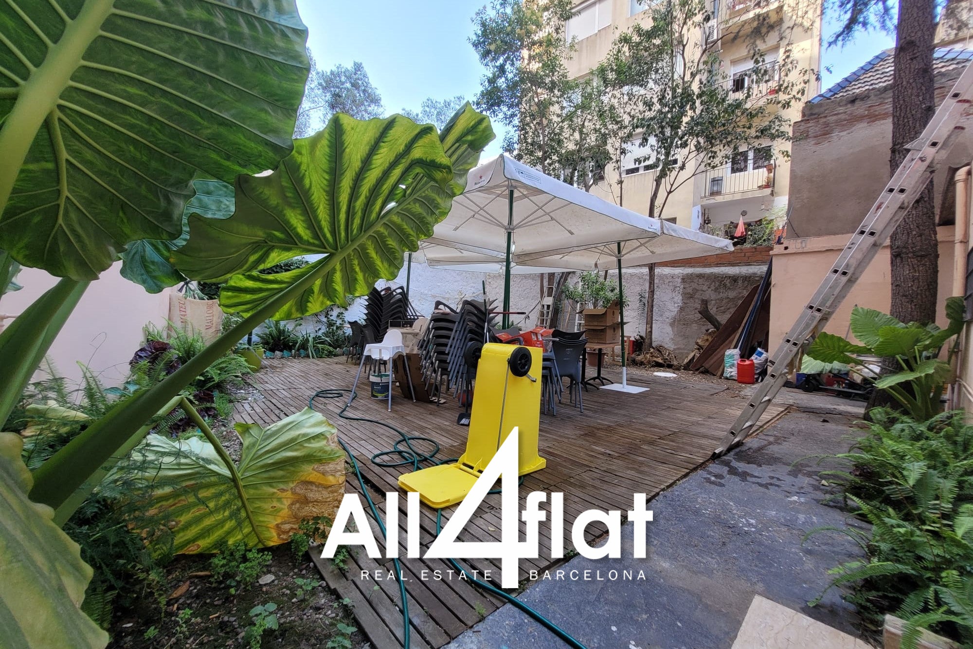 Rue Balmes - Réf. : 002053B_NP 