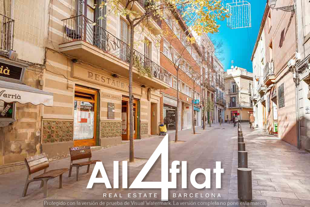 C/ Bisbe Sivilla Nº 15 