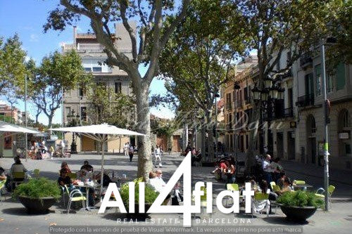 C/ Bisbe Sivilla Nº 15 